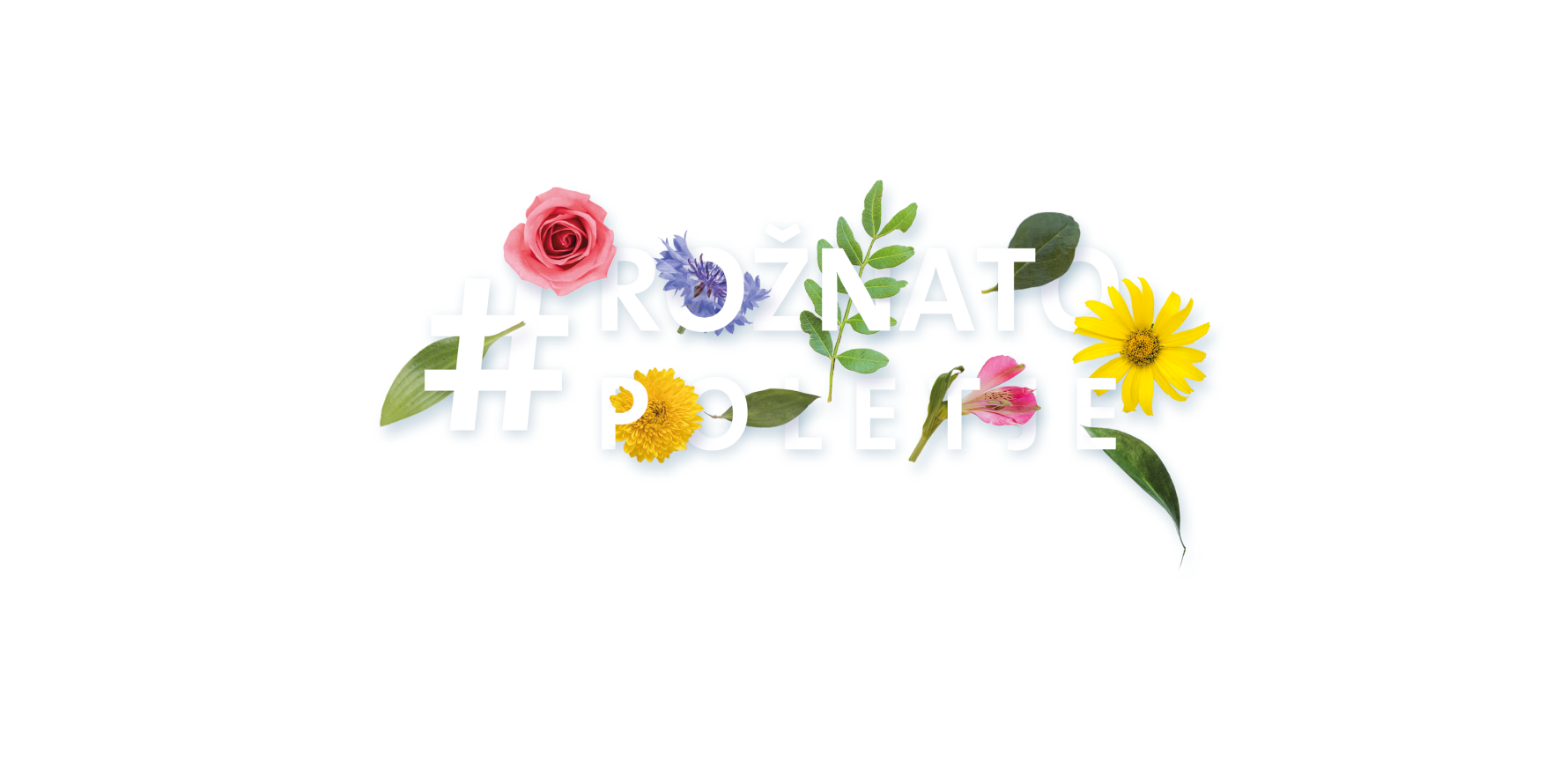 Ustvari rožnato poletje s Triglav Investments