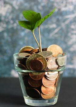 Zeleni poganjek raste iz kozarca polnega kovancev kar simbolizira rast in finančno varčevanje