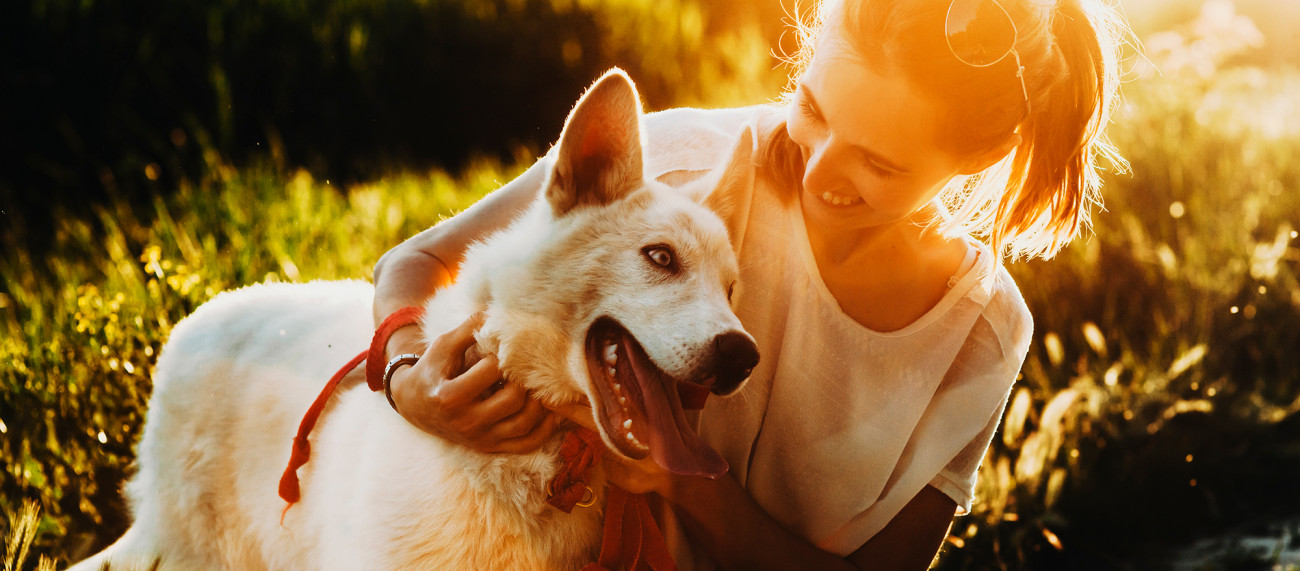 Dekle se smehlja in objema belega psa z rdečo ovratnico medtem ko sedita na travniku ob sončnem zahodu
