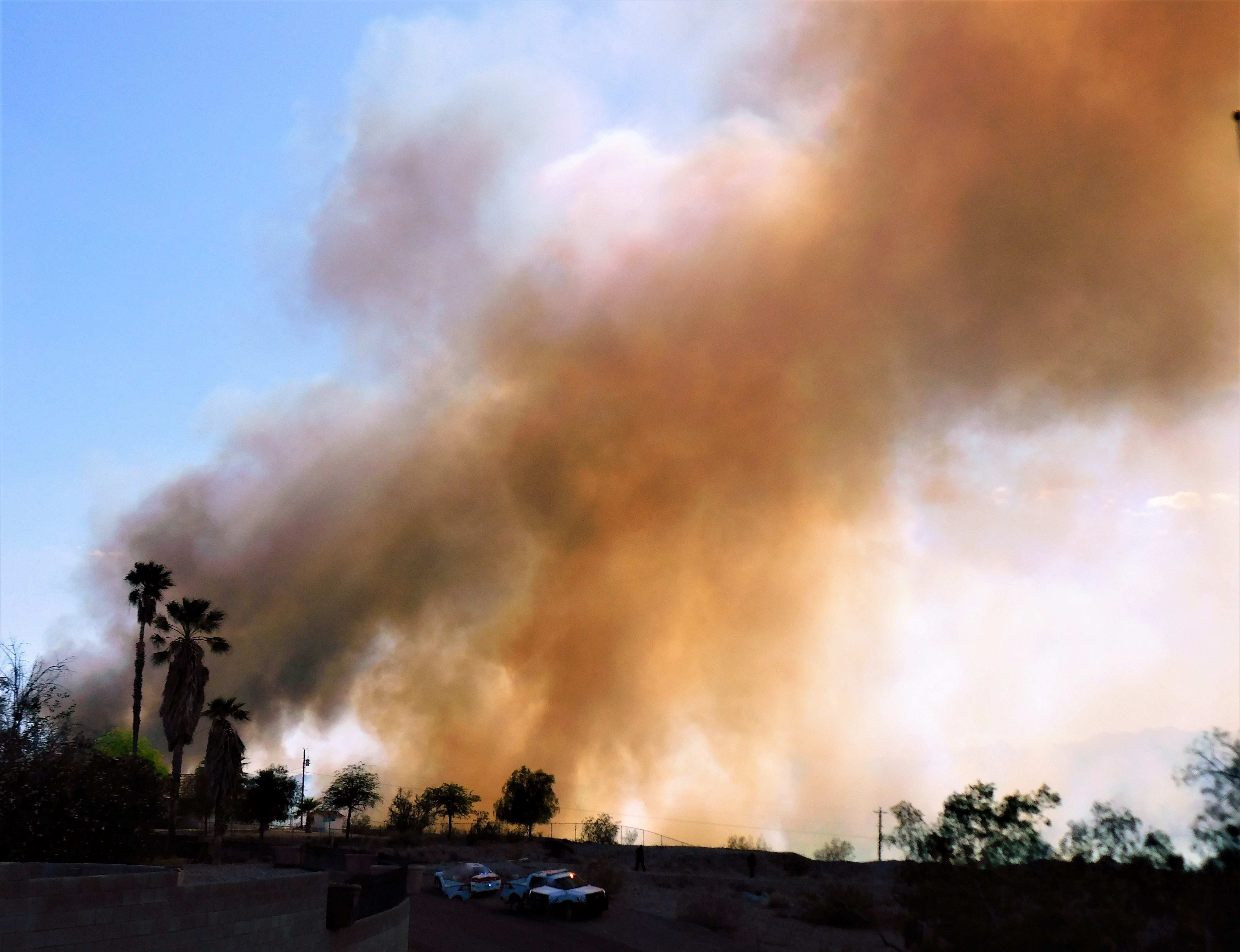 Gosti oblaki dima se dvigajo nad pokrajino z drevesi in palmami med požarom pod modrim nebom